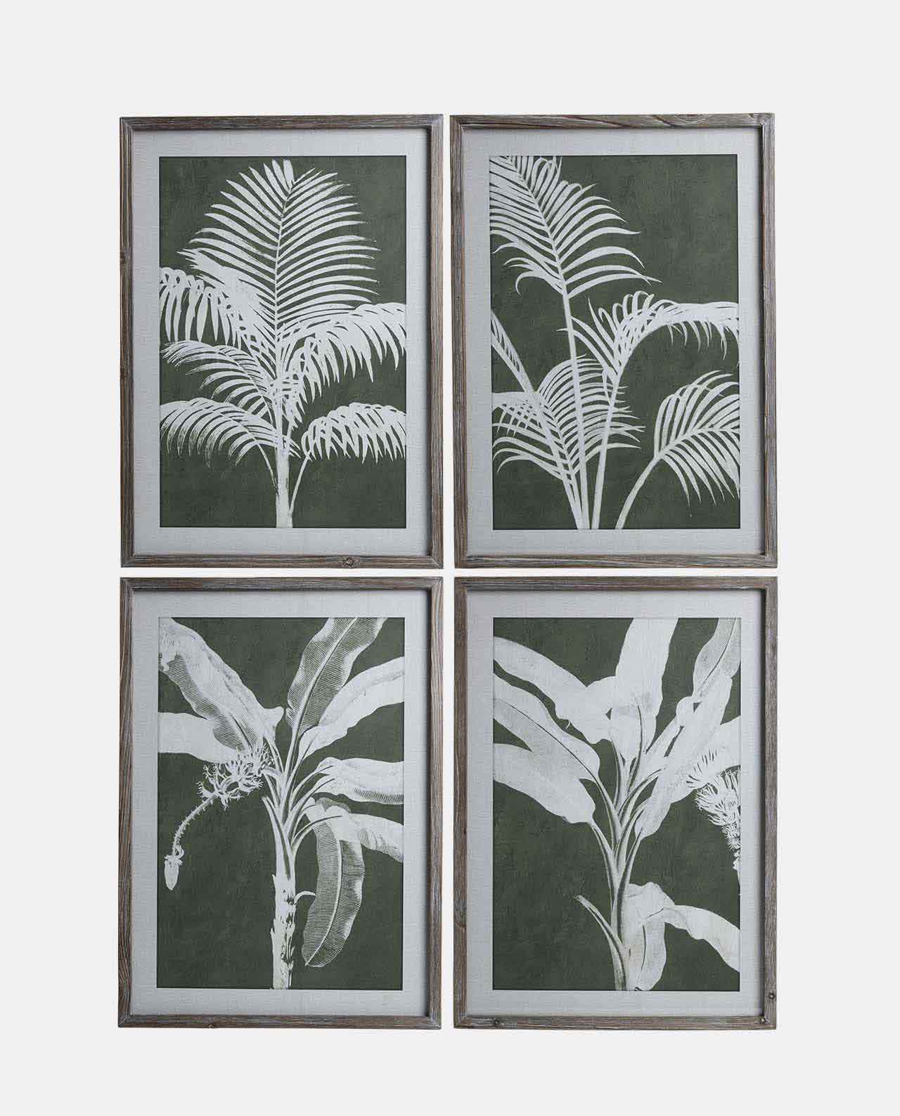 Botanical Framed Prints - Set of 4