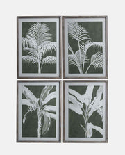 Botanical Framed Prints - Set of 4