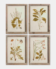Dark Edged Framed Prints No7- Set of 4