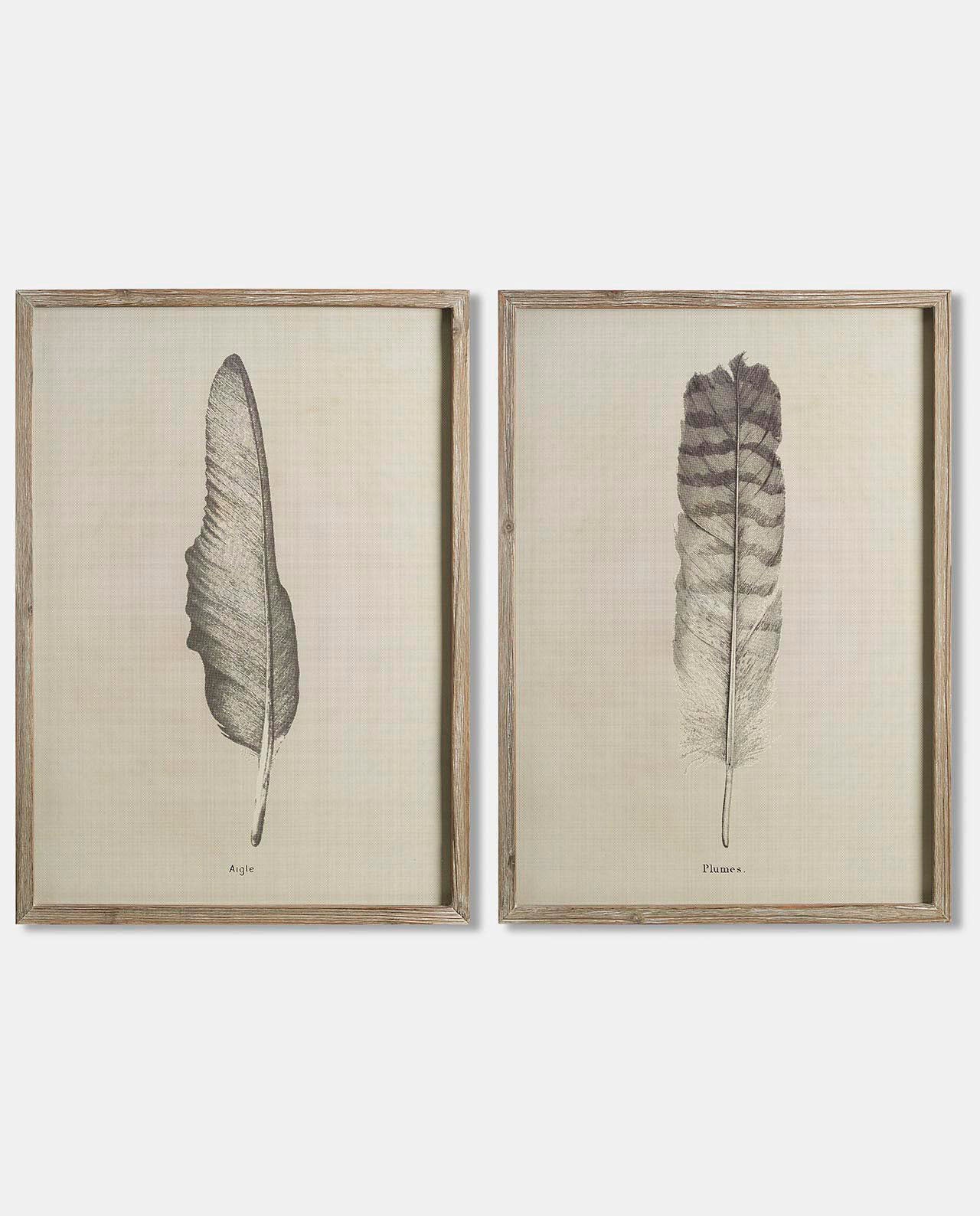 Dark Edged 50 x 2.5 x 70cm Framed Feather Prints No10 - Set of 2