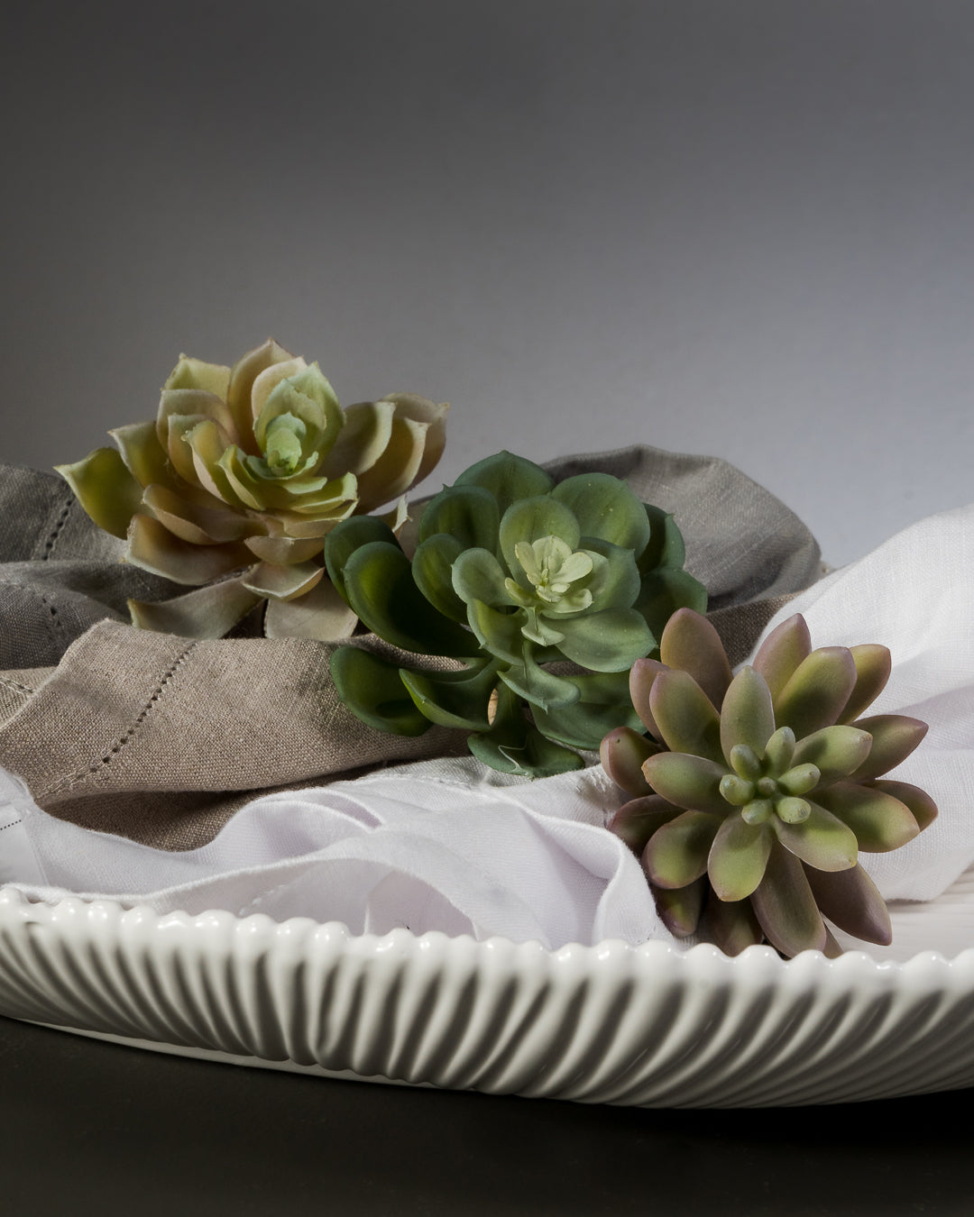 Echeveria Napkin Ring No5