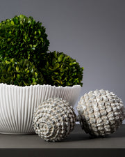 White Ceramic Salad Bowl