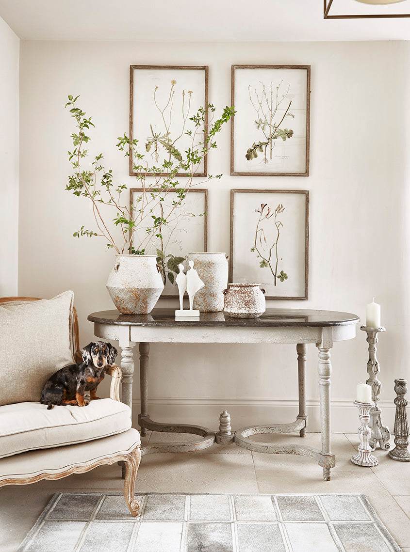 Framed Botanical Prints - Set of 4